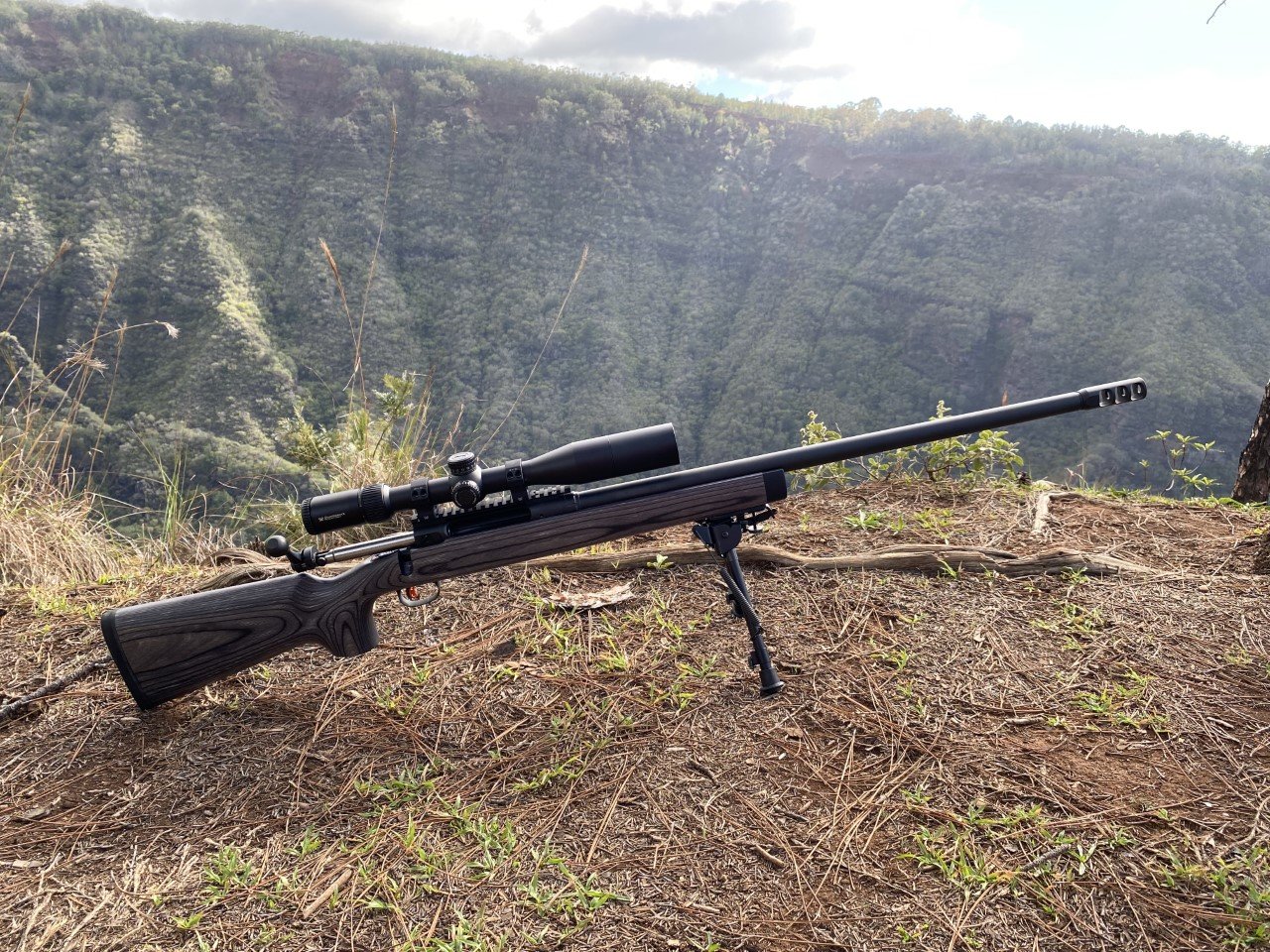 338 lapua1.jpg