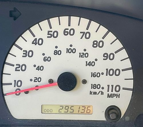 339705864_2208069302914472_1752609433807584015_n.jpg