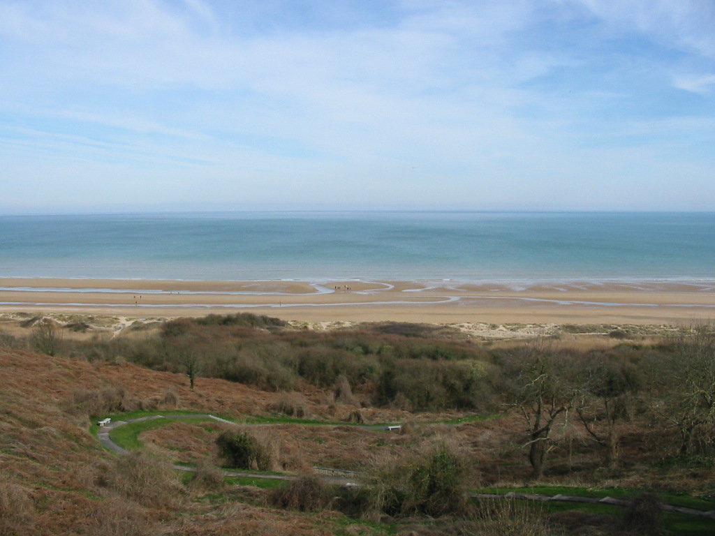 339_3964.jpg