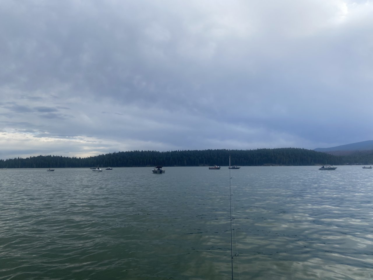 33B104B9-F484-45F7-A000-42EF9C42BCF2.jpg