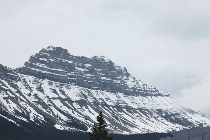 34213_1521686488728_1431559954_3142_791ae0b553e7d59902c4da7da748bd269e9e8eba.jpg