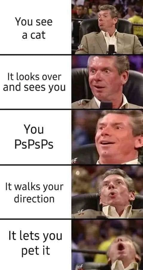 342218827_798430808358735_2158682968497834041_n.jpg