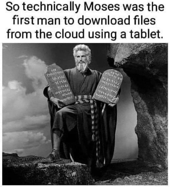 342640198_241014658421652_8186898239223918274_n.jpg