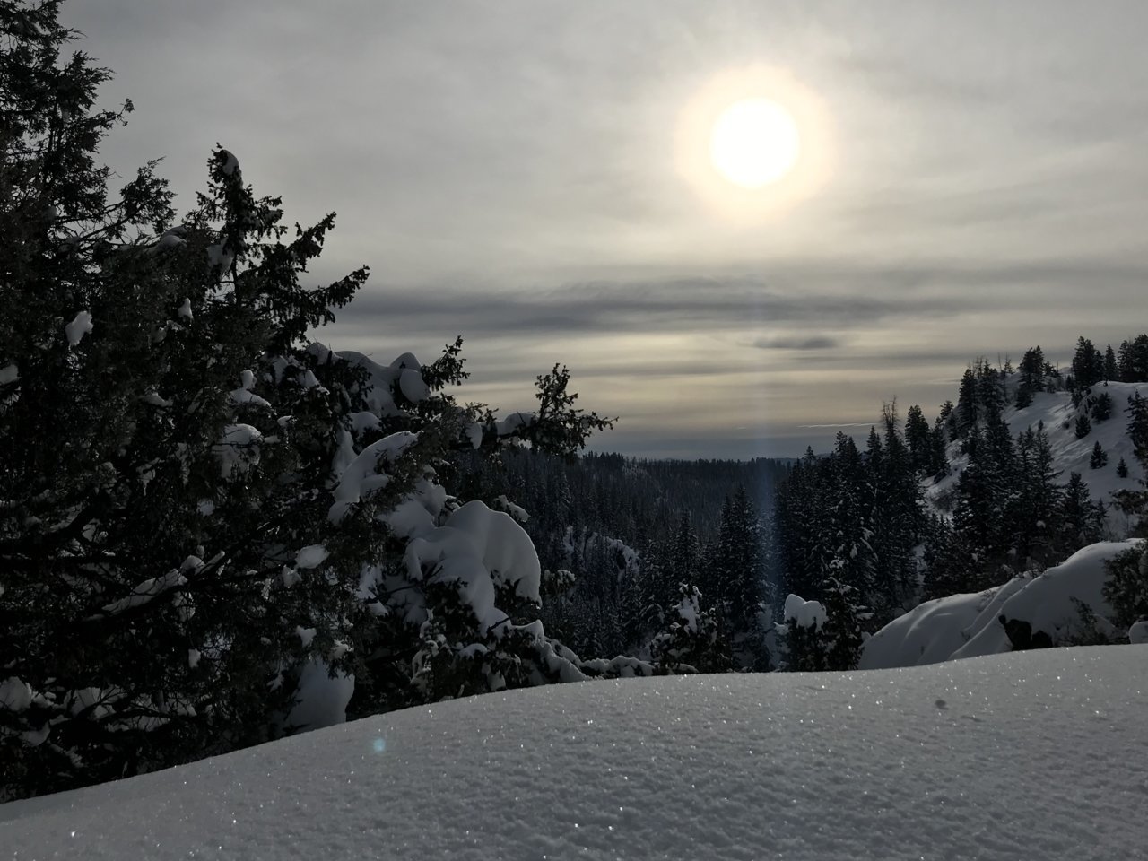 344751CB-0918-41A1-AD46-1901229C0EC1.jpg
