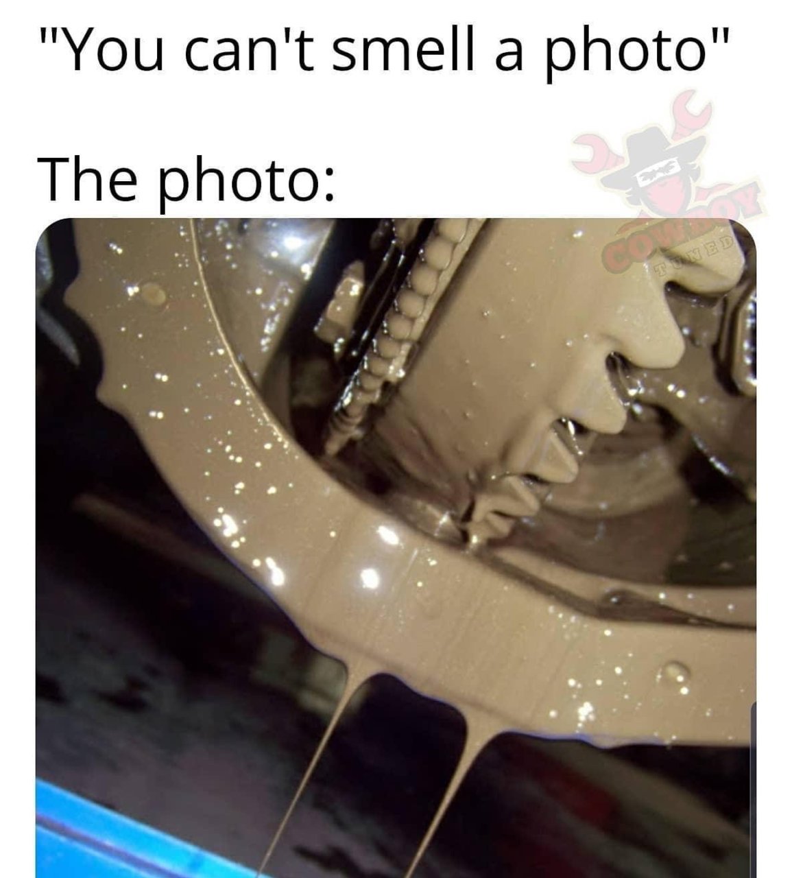 346E7B66-4B64-4861-BC28-77206E05F1DA.jpg