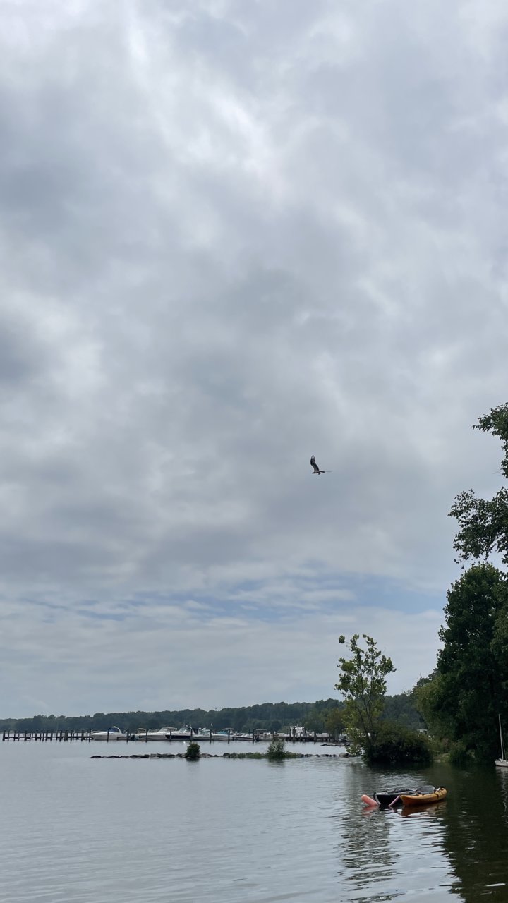 3487F140-0C33-44CE-9742-61F0BF1F5A4A.jpg