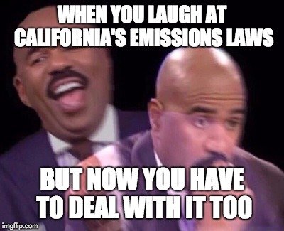 34r34r.jpg