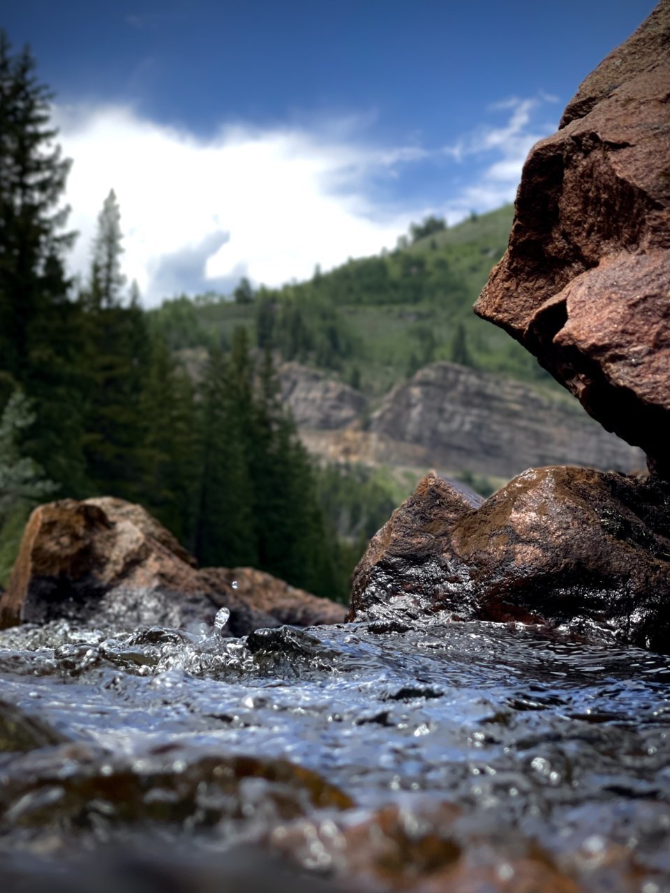 3504B4D6-805D-4457-A688-6DF1BE6FEABC.jpg