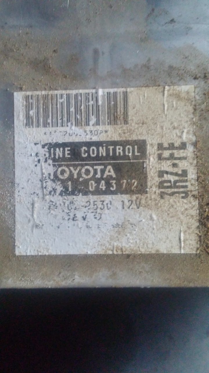 3505856381689297506.jpg