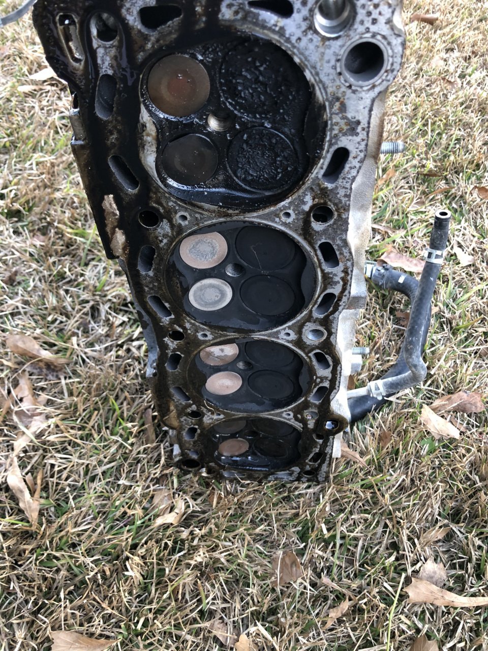 350F2BEC-2FC4-445F-BF26-09CD6F559F1A.jpg