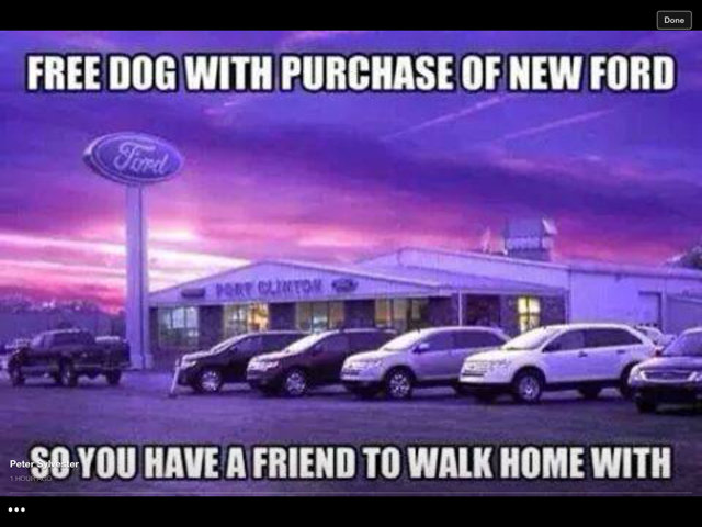 352156d1416172066t-ford-promoting-dogs-i_0fa2887de70863e5d92863c9f3b460007b954944.jpg