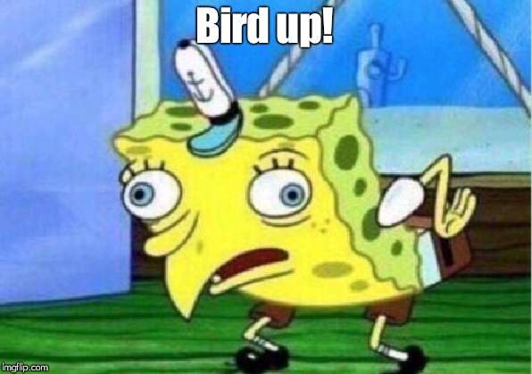 355fng.jpg