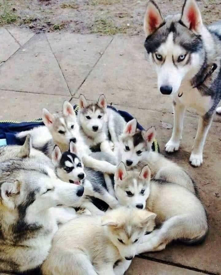 357036215_1311949539515465_7250768731973220383_n.jpg