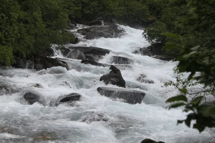 35837_1521706569230_1431559954_3142_c33fcdded5253a54fcca09a07825f9f9f559d2f5.jpg