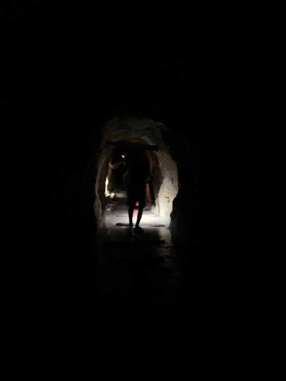 3592F56A-8BEC-4E07-A546-A8BFA00C700C.jpg