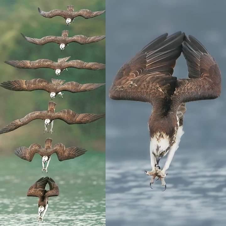 359825266_662469435919821_44625562432671_f7098e0e642209e74d830f12ef8f4ad9f489fcfd.jpg
