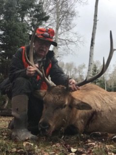 Elk hunting the glade 2025 near telluride co.annual snowfall