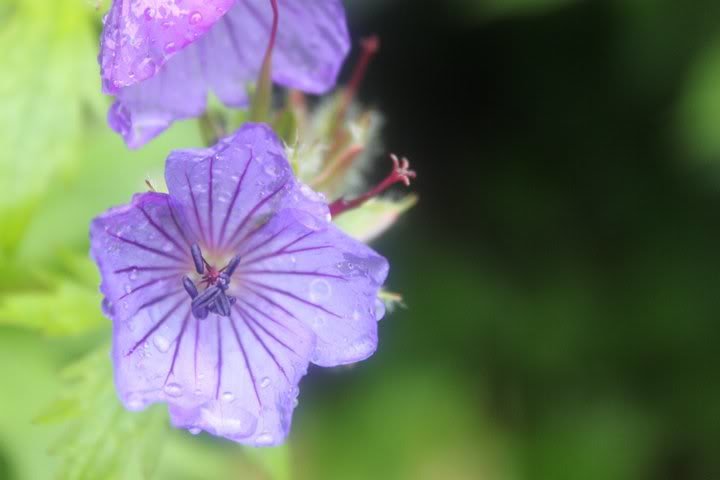 36948_1521707449252_1431559954_3142_4b090edc5f546face9ae9922bca115103eb8df53.jpg