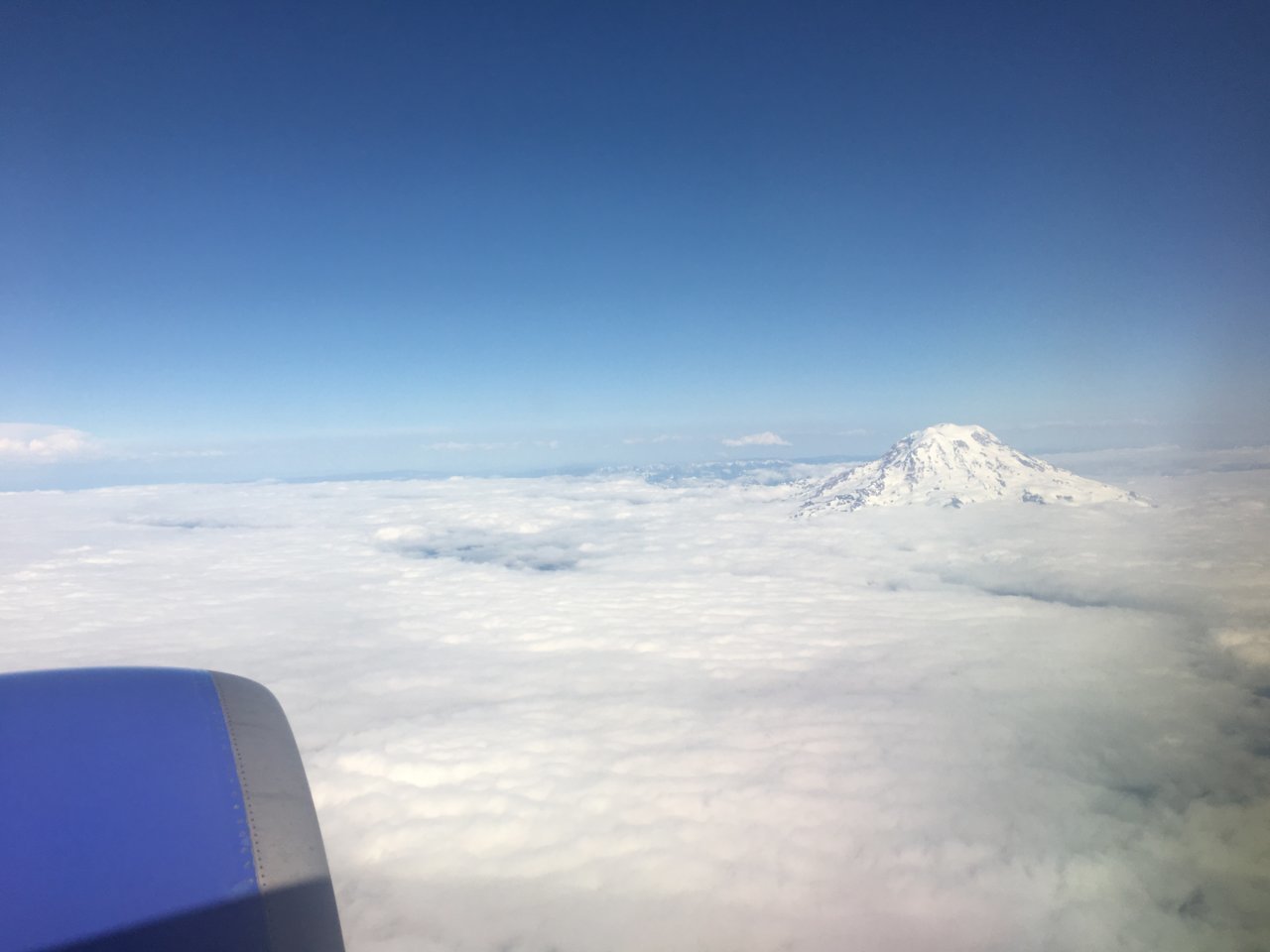 36B23586-64C7-471A-B173-24C8E53A7368.jpg