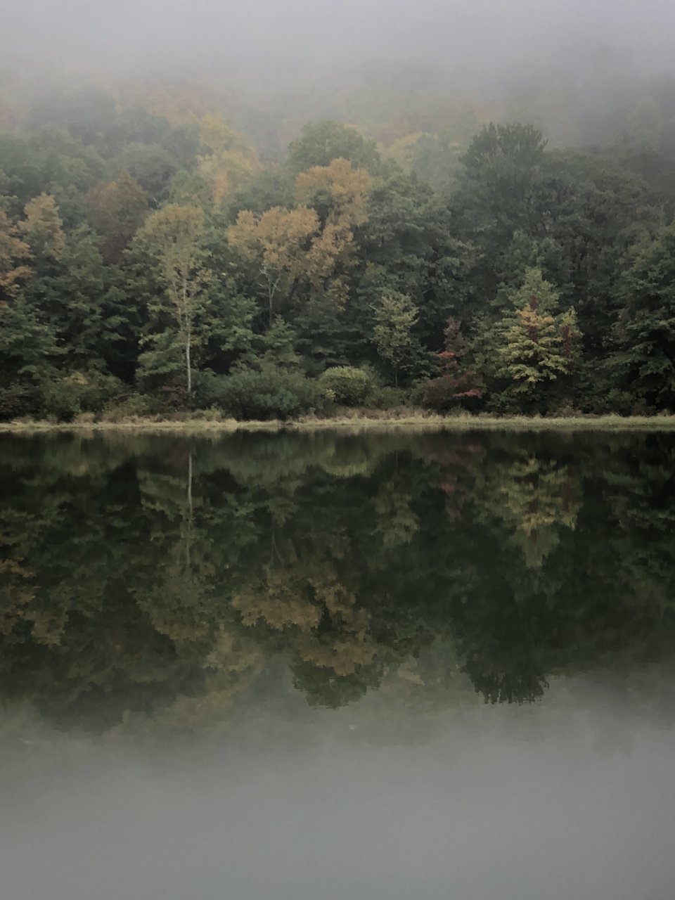 36CA33BF-D728-4918-80C8-1C906095FD0C.jpg