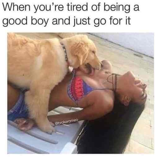 37307-when-youre-tired-of-being-a-good-boy-and-just-go-for-it.jpg
