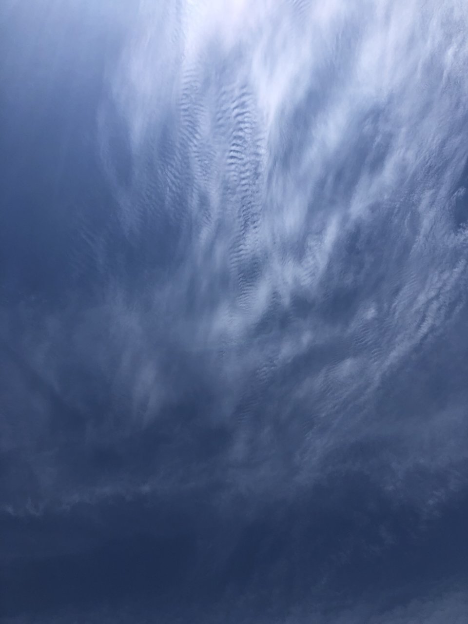 37B7D769-6425-4012-A862-9B312415DE50.jpg