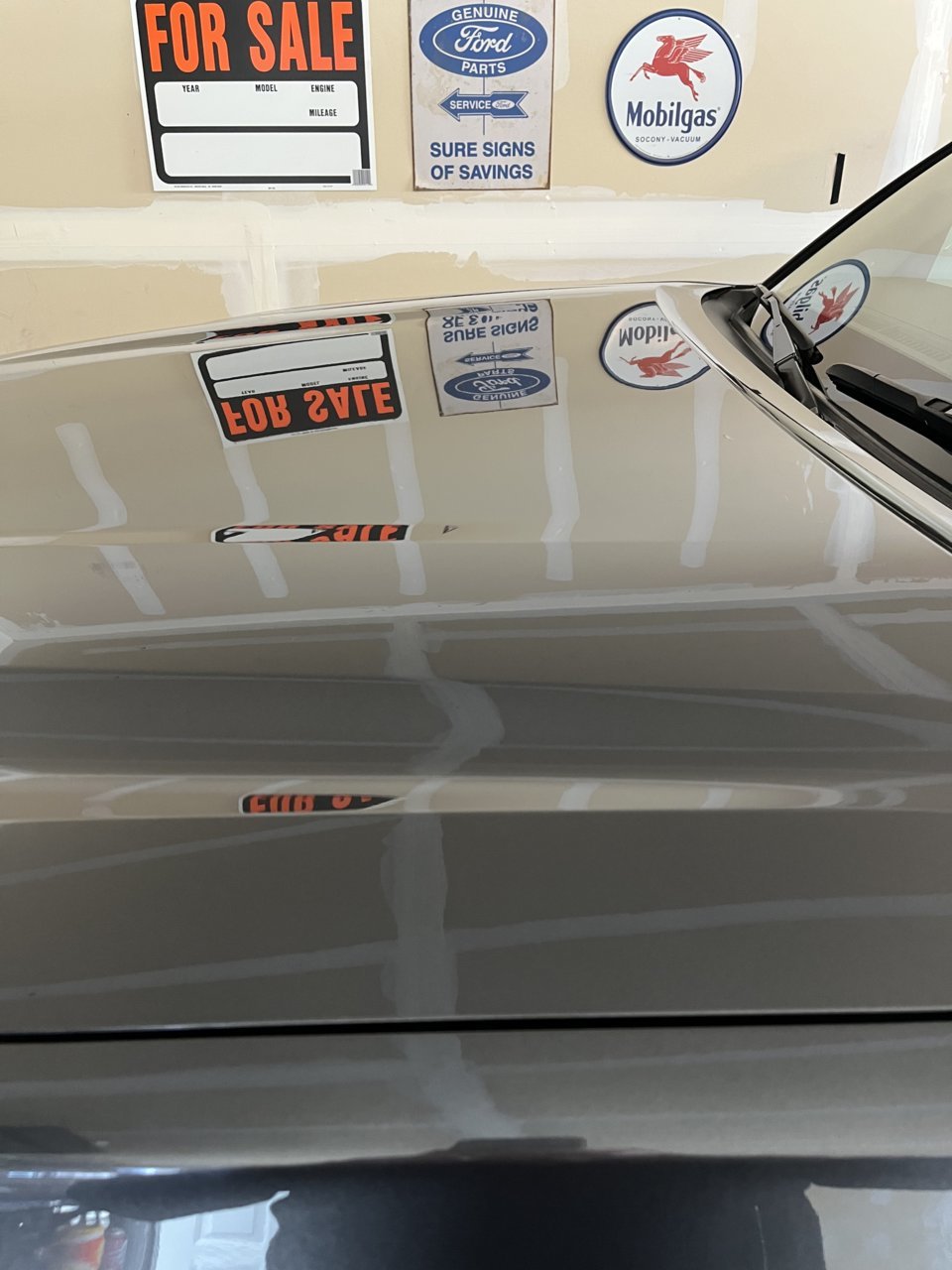 37D918F4-1E32-4164-A45C-18EDAD76DE75.jpg