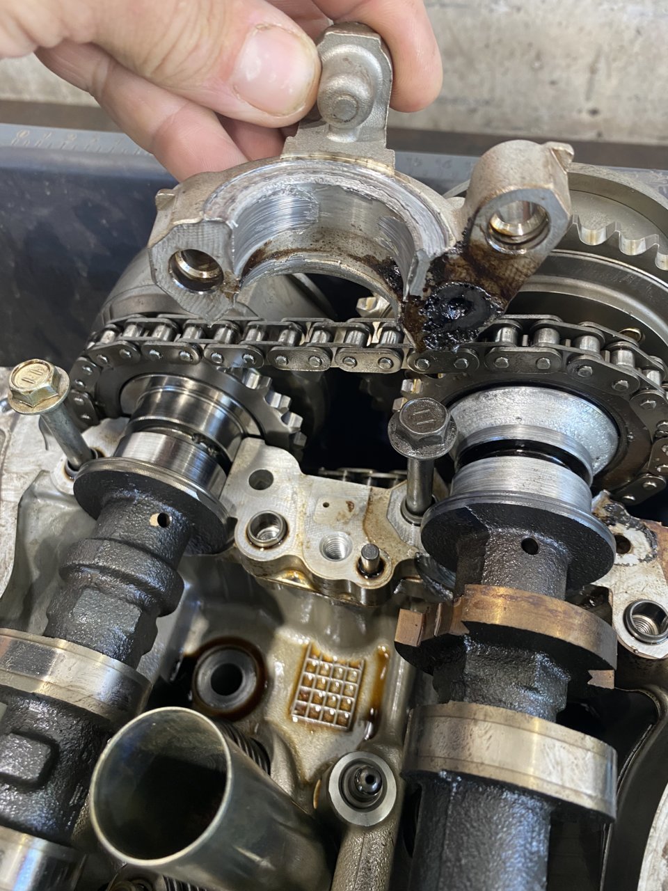 3816148D-6FFA-4DB1-A1FD-DA62D3551C55.jpg