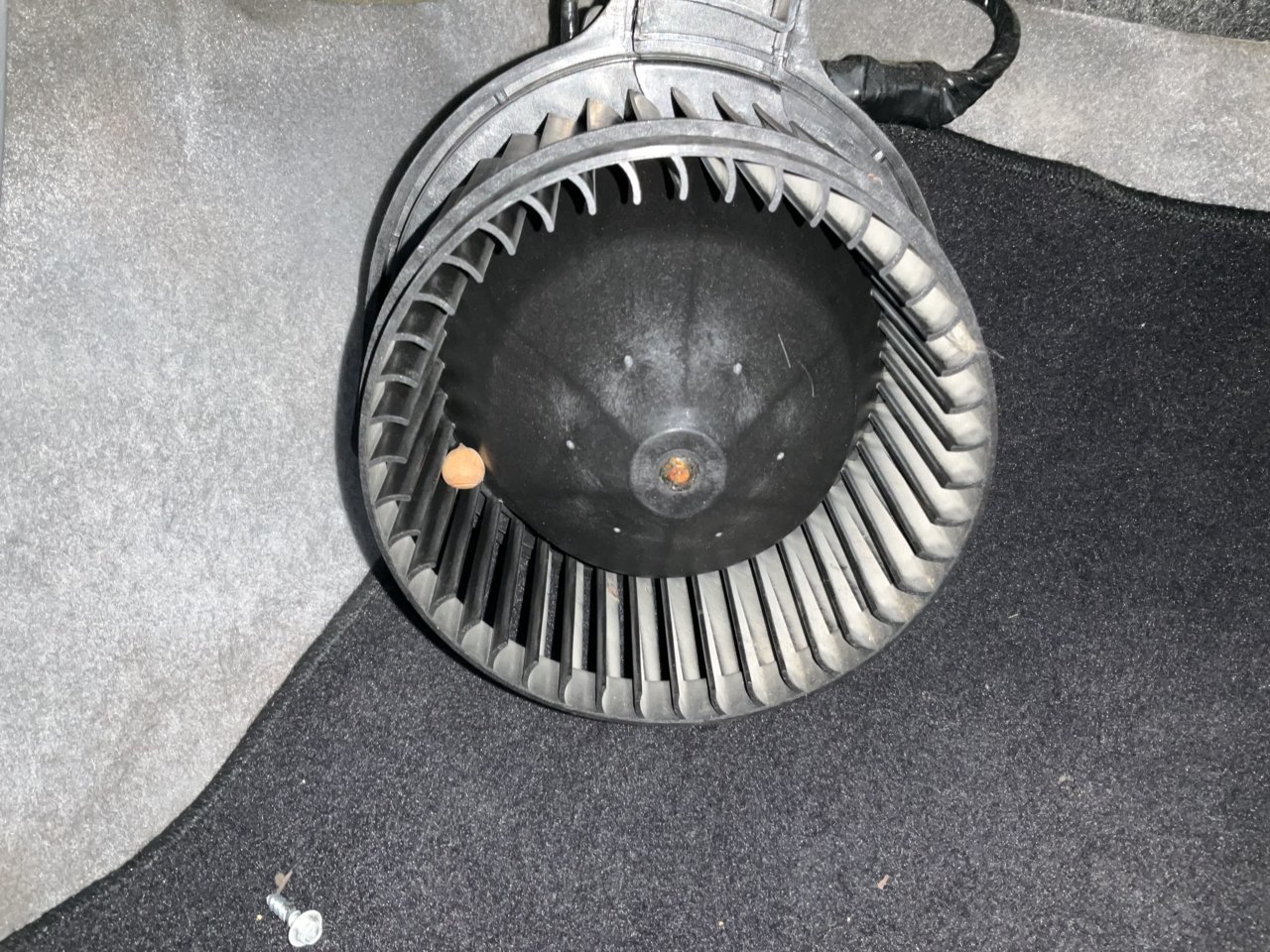 38473DA0-EECE-408D-94CF-9AA0266842CF.jpg