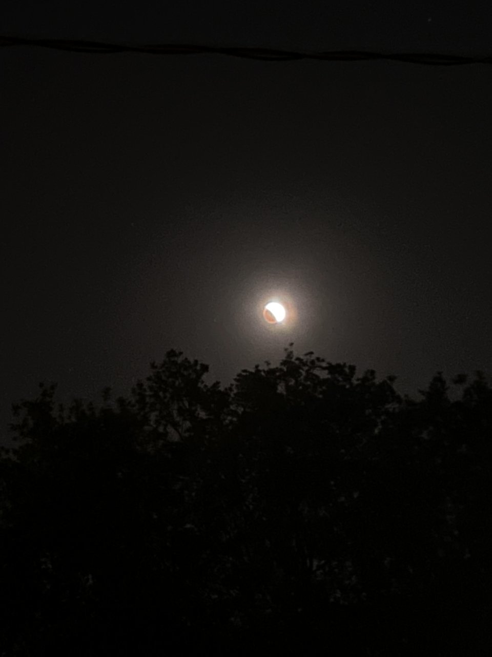 3893D837-1F5B-4752-BF9E-6D998750856C.jpg