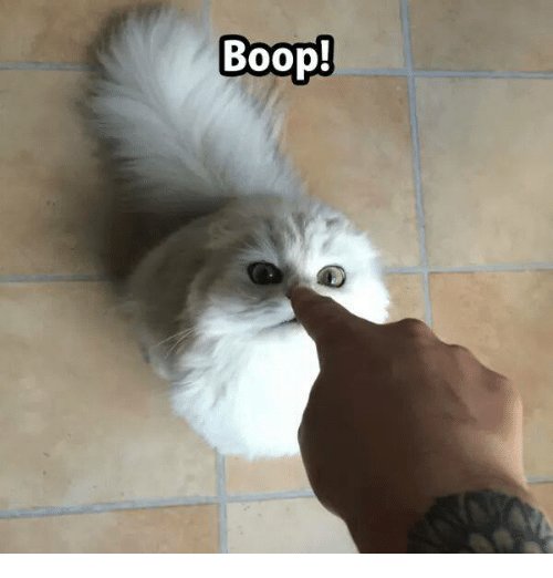 38A9FA58-4237-41F5-9090-992D7EB533A3.jpg