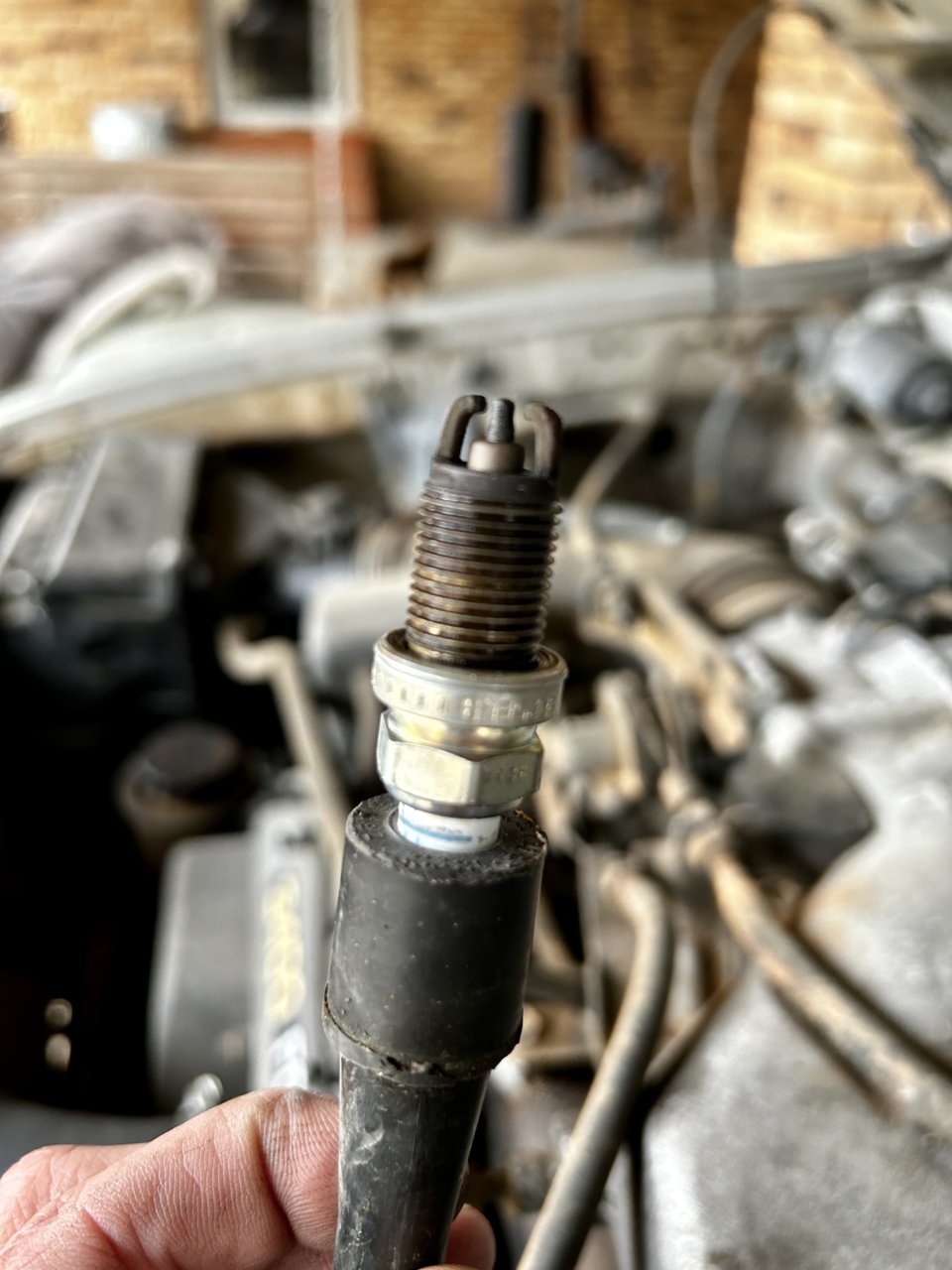 38F823DD-CE88-4561-AE8F-5362739E2CED.jpg