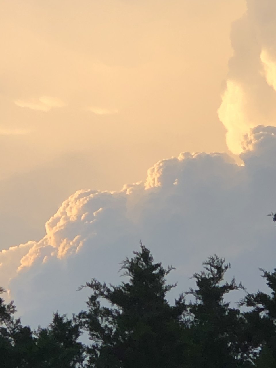 39458C5B-CFB5-4C0E-A9B7-621A3B080973.jpg