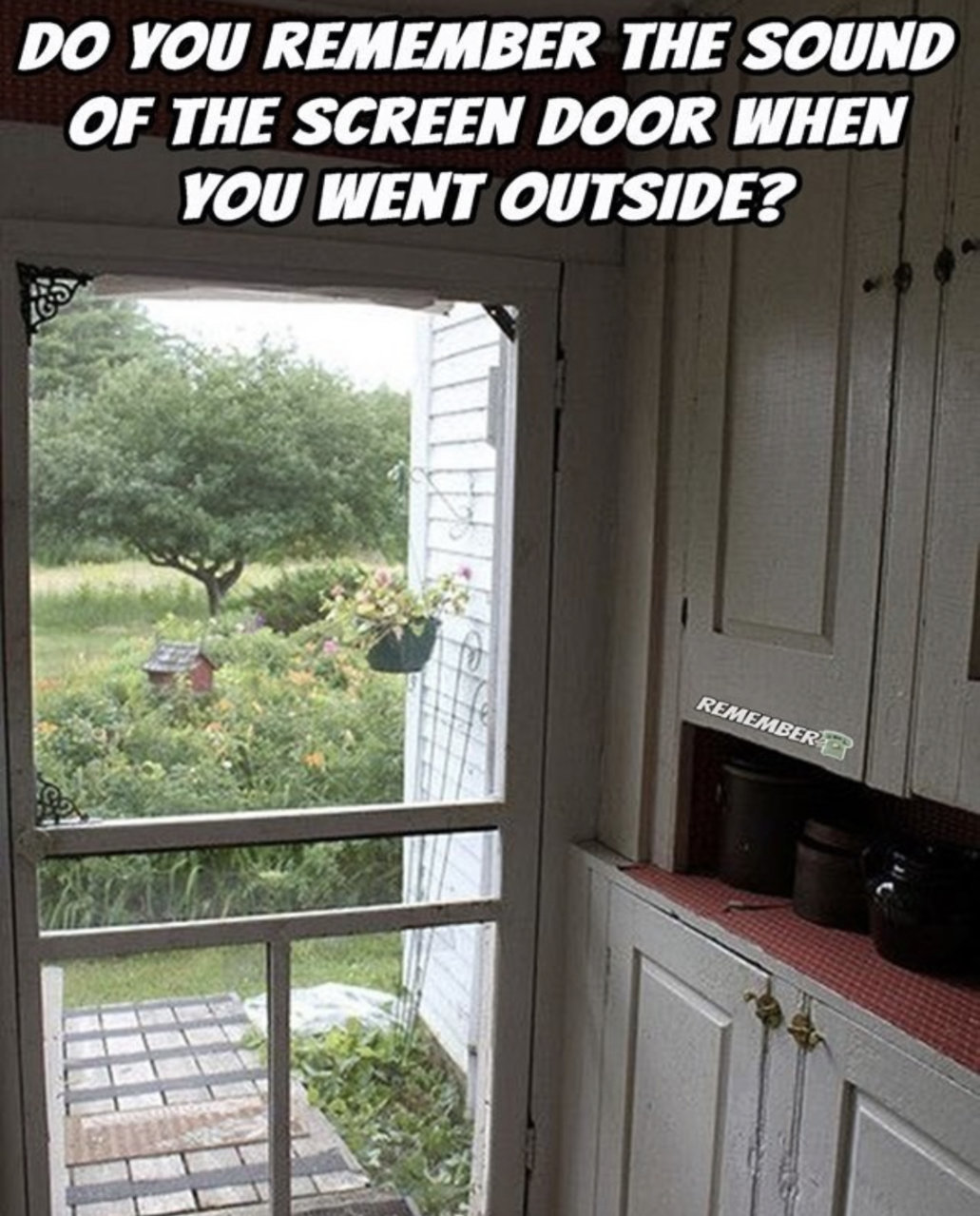 39C58277-BB97-4966-A178-11D2C3EAA663.jpg