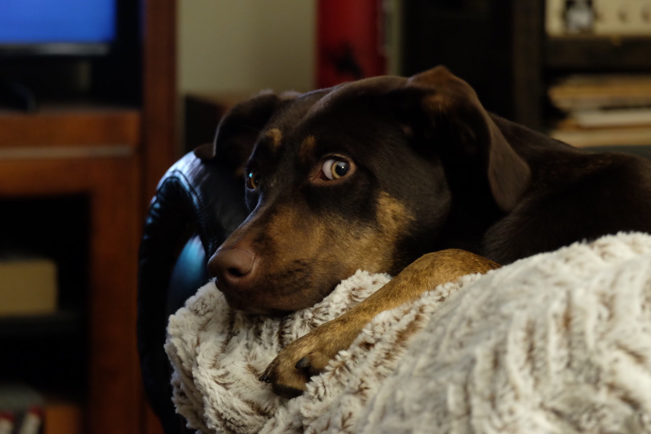 3A91396D-014A-4FD4-9CB6-1EEA3382B3A7.jpg