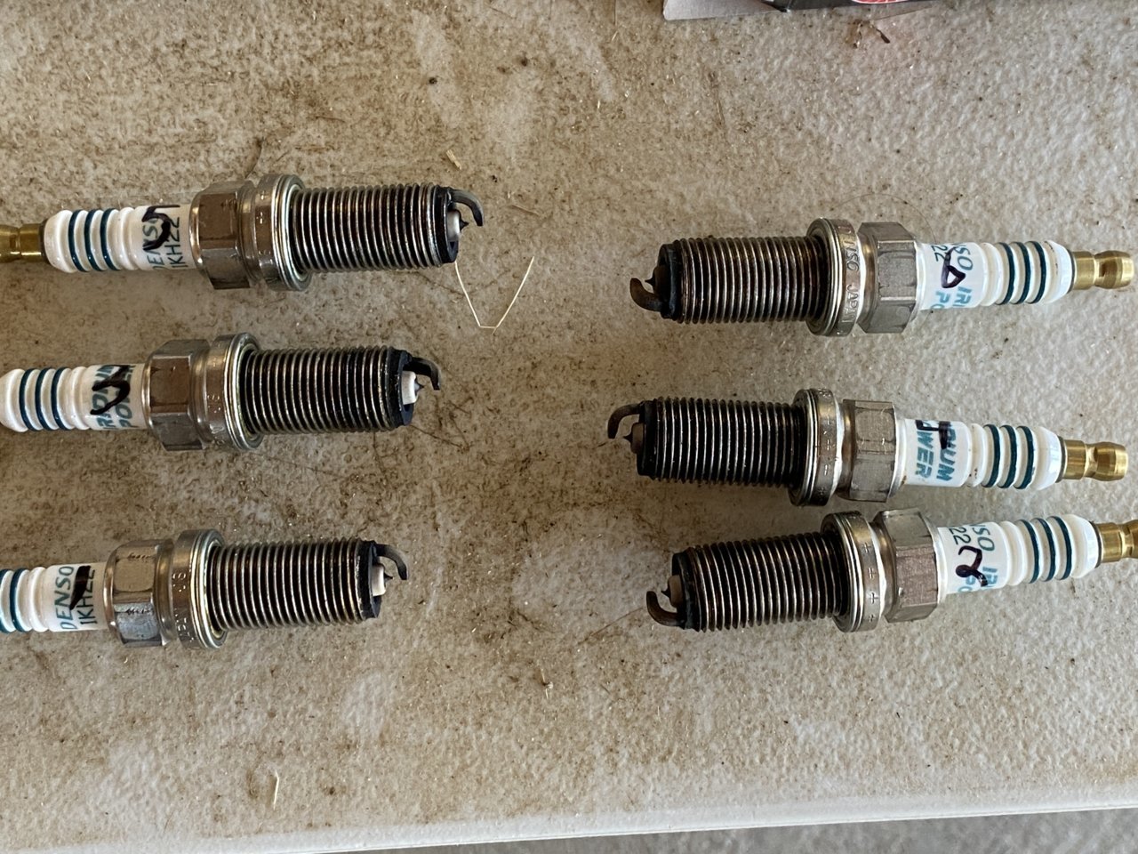 3AF0A5AC-9A06-48AD-9826-E9E7C7DDF25E.jpg