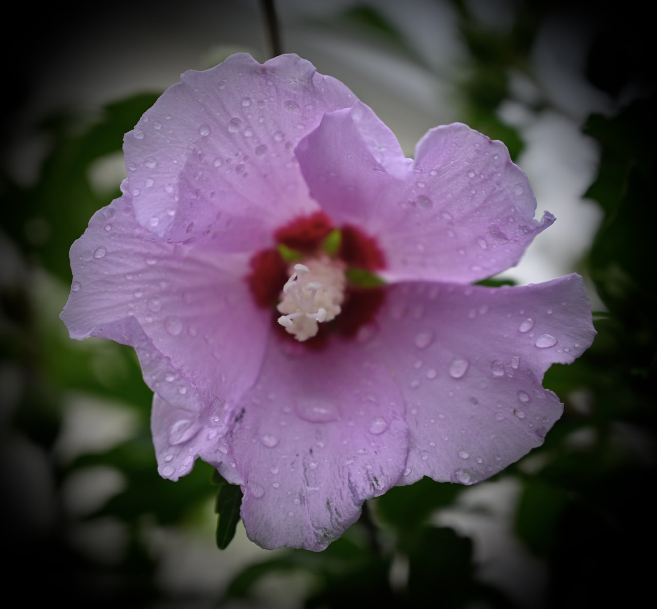 3B0A2644-176E-470D-818C-28A99A74453A.jpg