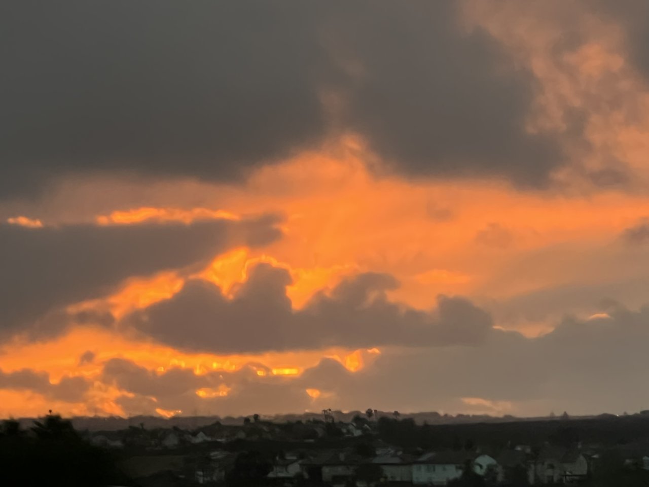 3B49225C-4BE3-4777-83EE-C4D192562558.jpg