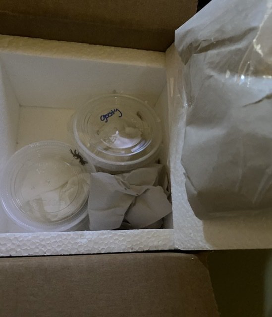 3BED0C87-D595-4148-A08C-48E48AF82E4C.jpg