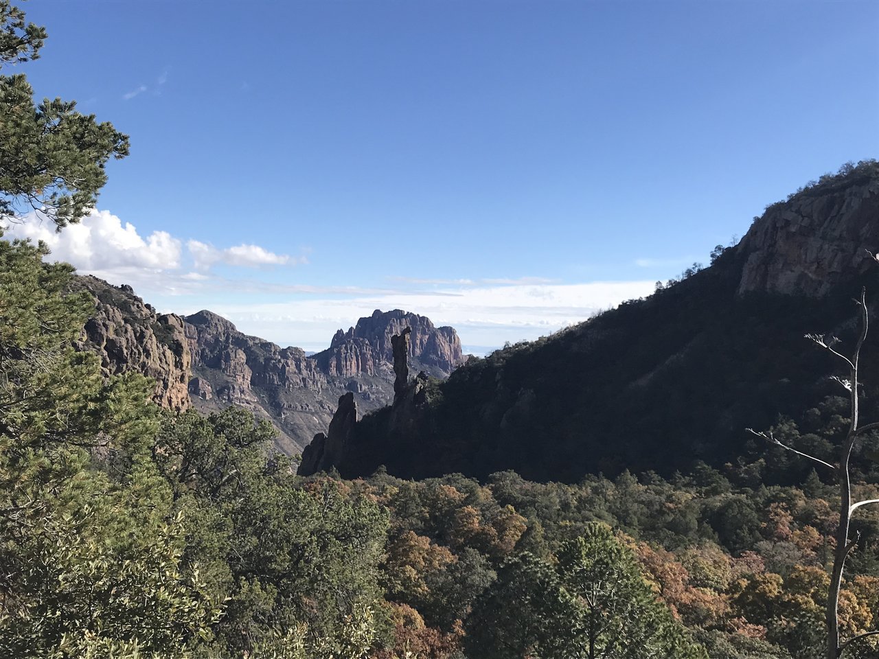 3D163993-F7E1-4F0D-B8D6-22A3953F936B.jpg