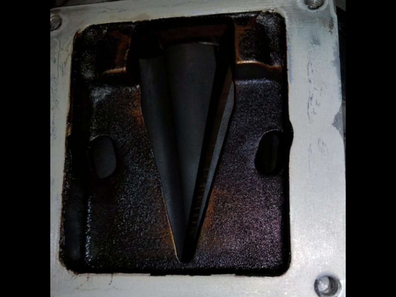 3D407B15-AADB-4EE2-A380-161E04D3E971.jpg