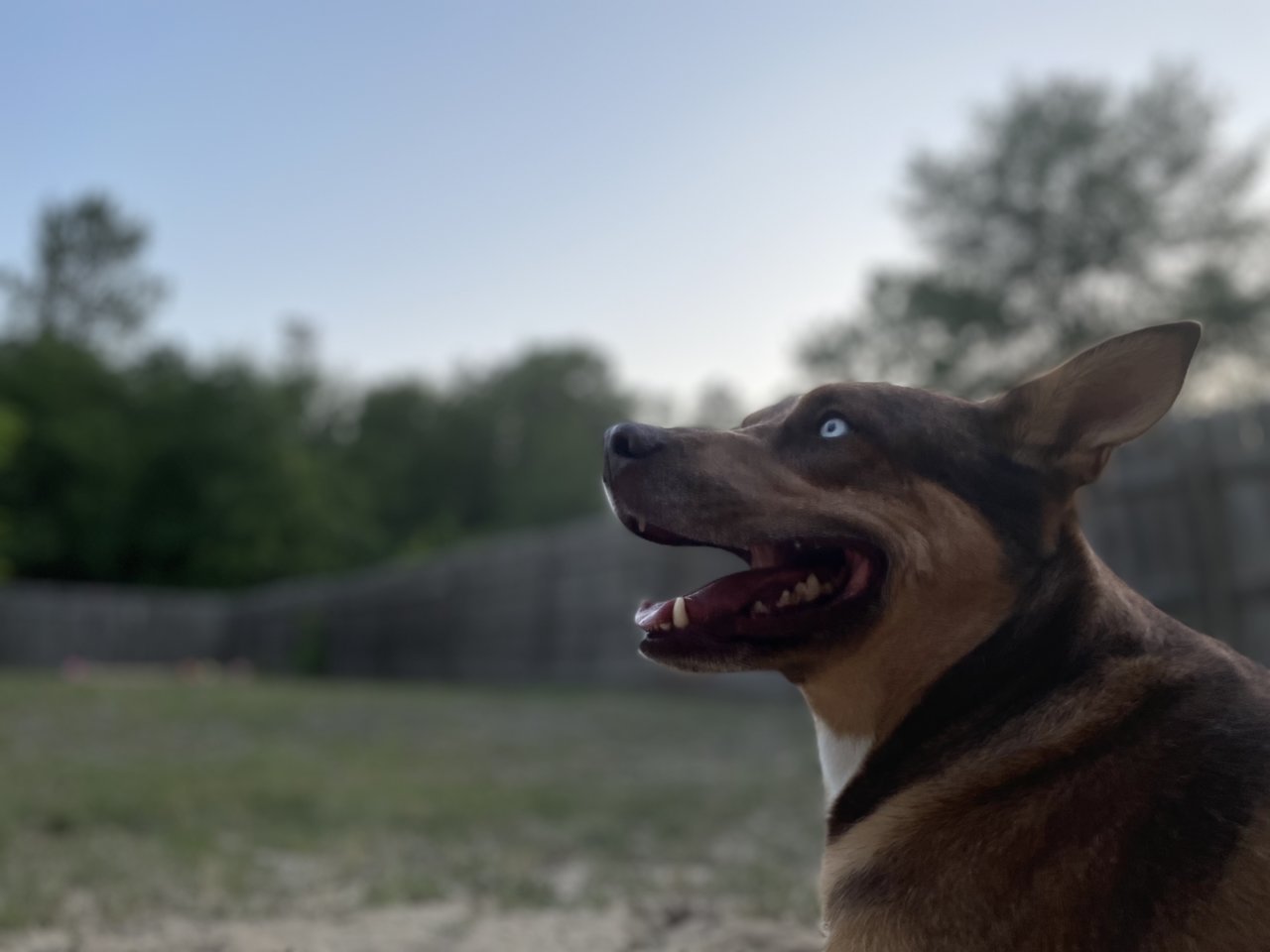 3D4613D8-98C7-4D98-8B94-7535DF18041A.jpg