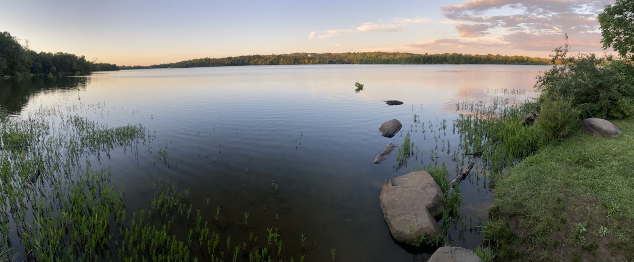 3DDF5A9F-BF30-412C-94F7-C30B3142E89C.jpg