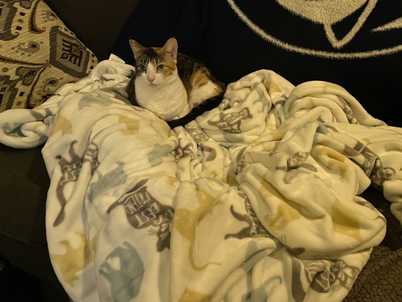 3DF7B236-B7C7-4CEA-9B94-22EEF7169AB5.jpg