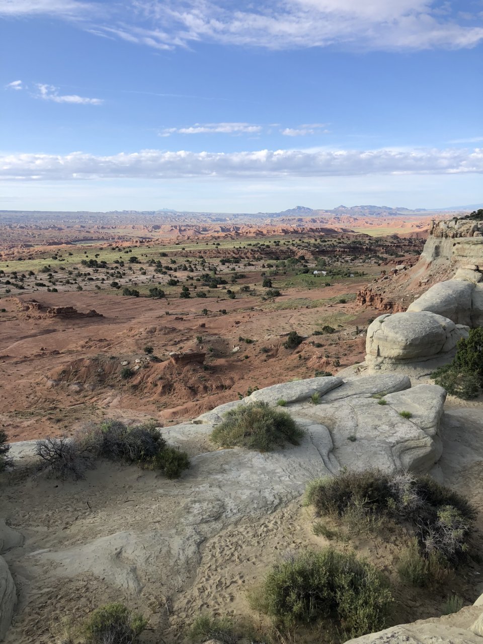 3E323166-B6BB-4316-87F0-8A9F63E94C03.jpg