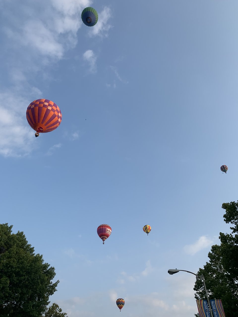3E37308C-65F5-410E-AF71-35E29FD13770.jpg