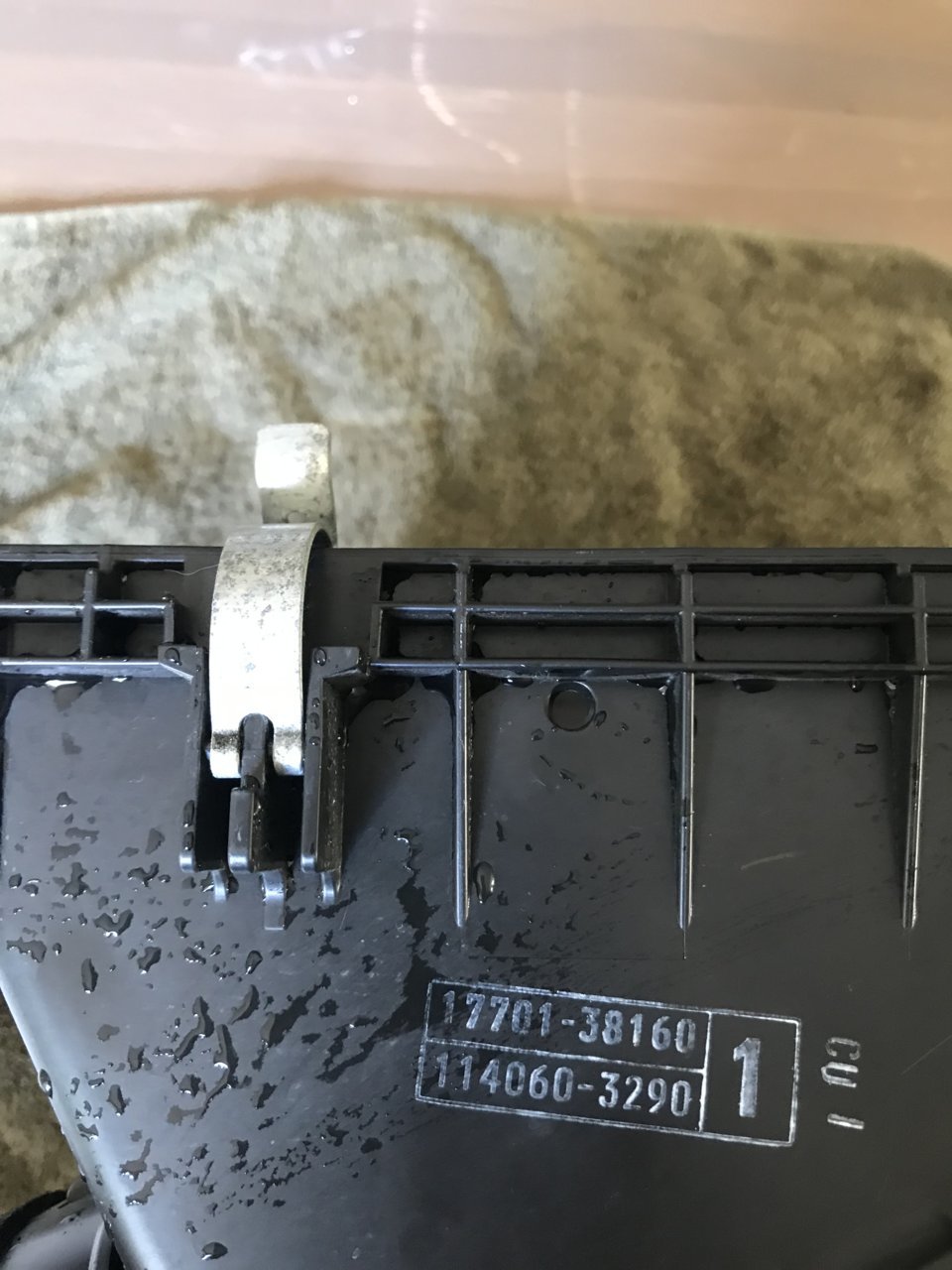 3ED8109E-E3D0-46DB-8969-7981CC70A64F.jpg