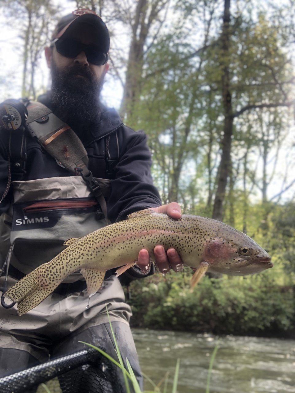 3F450B6D-64DF-4E7C-8EF5-FEBFE75BBAB4.jpg