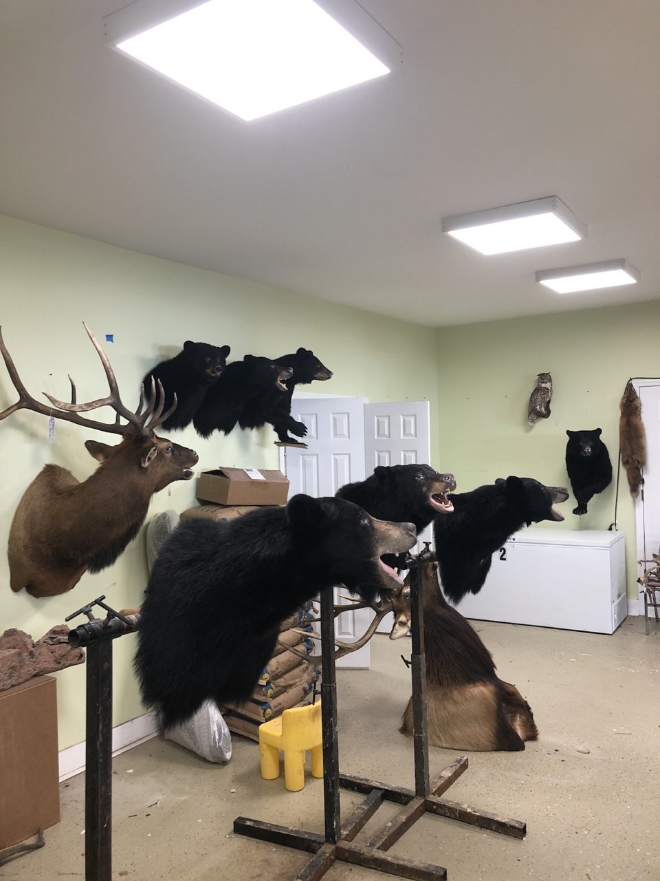 3FFED361-AA0F-44CA-8C39-8DE7276CB63C.jpg