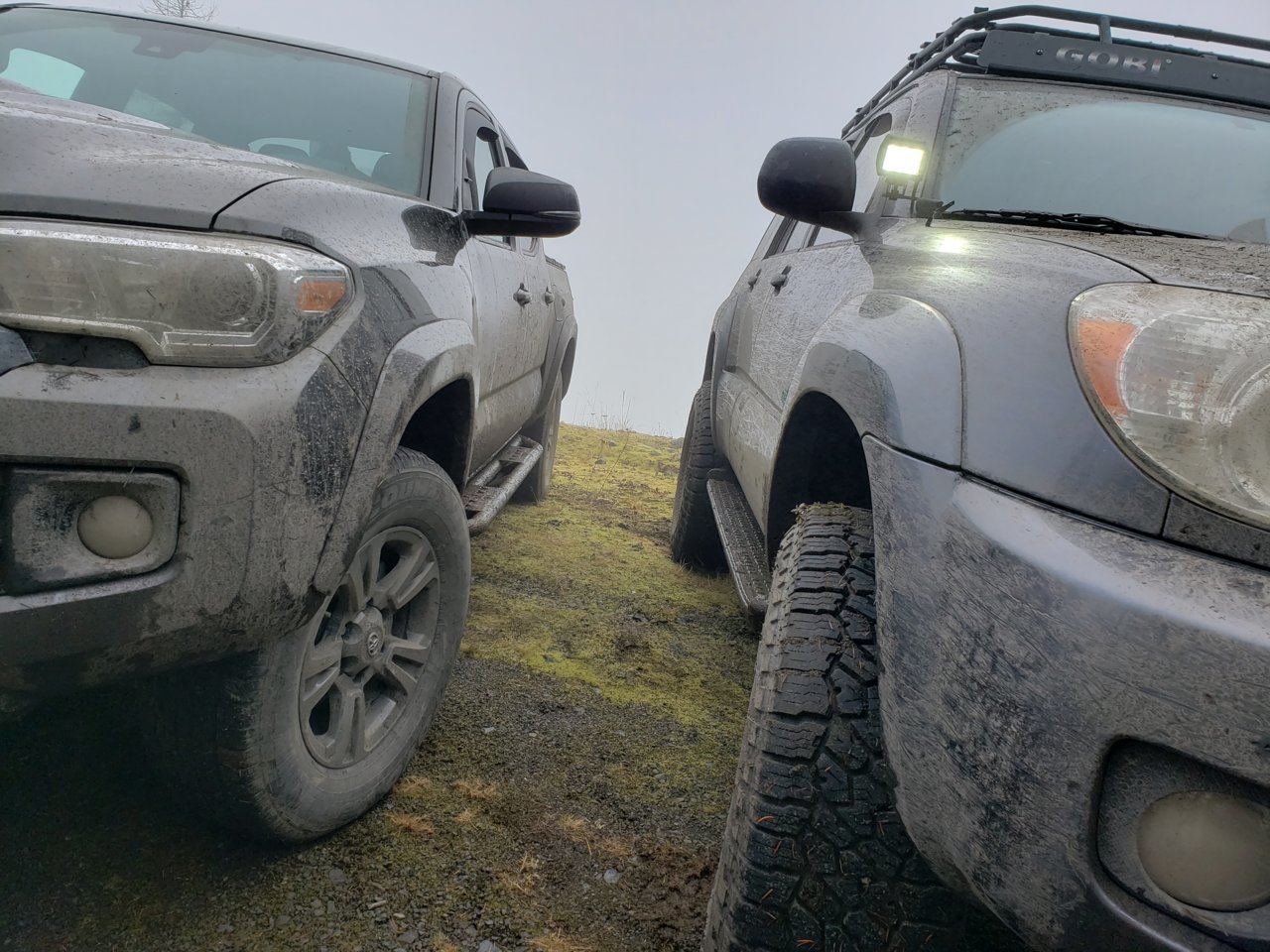3rd and 4th gen.jpg